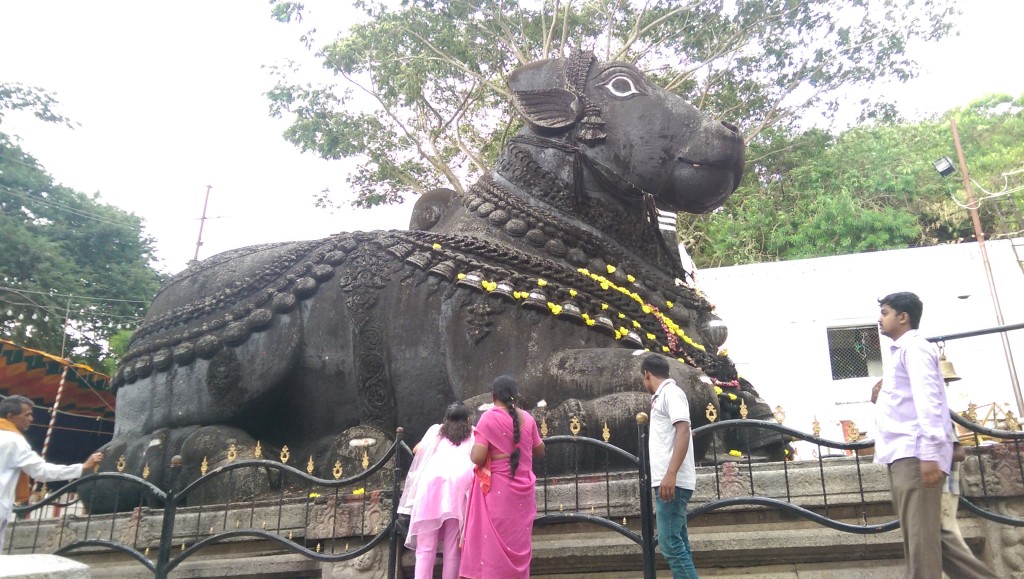 Nandi the Sacred Bull Mysore Chamundi Hill Mysuru
